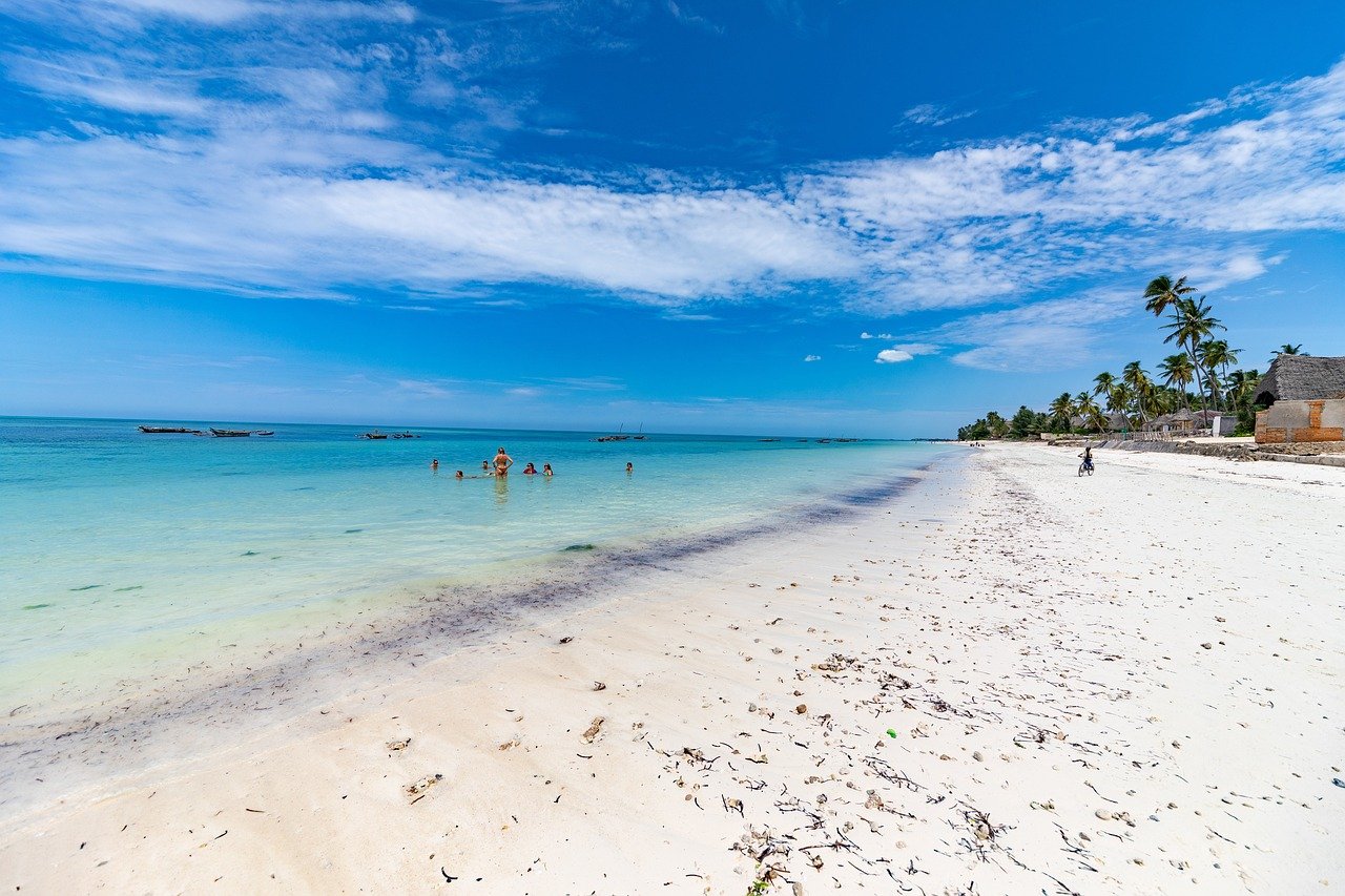 Original illustration of a quiet Zanzibar beach with a dhow and palms